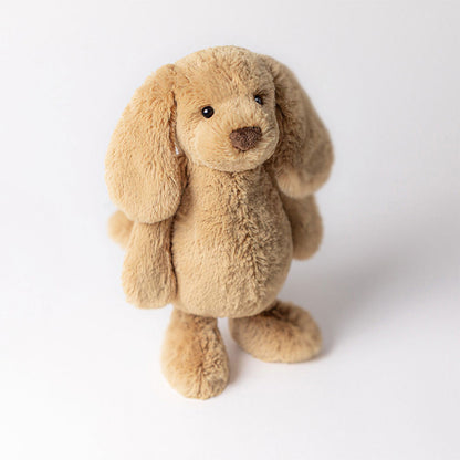Bashful Toffee Puppy