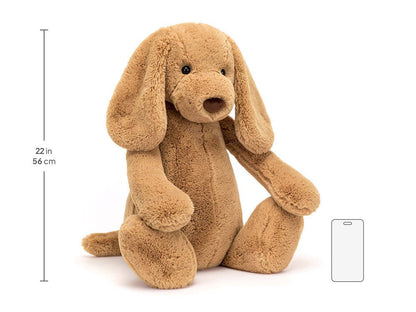Bashful Toffee Puppy