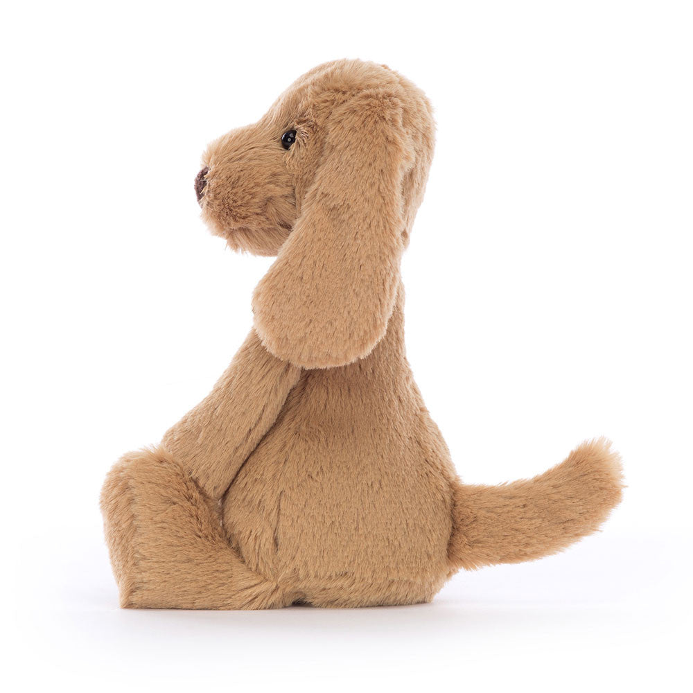 Bashful Toffee Puppy
